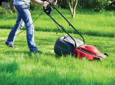 Plug-In-Mowers